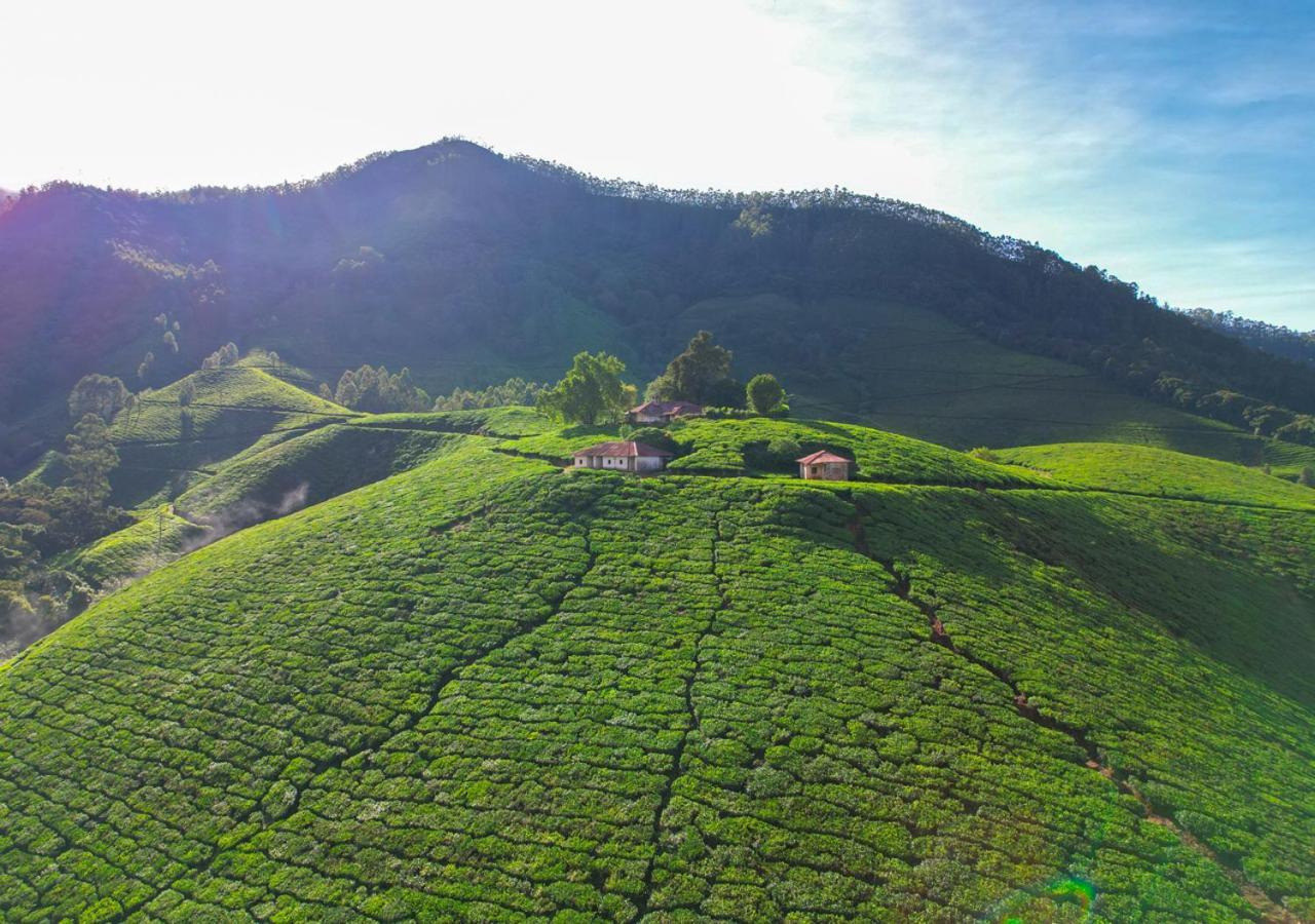 Arivikad Tea Bungalow Munnar By Voye Homes Suryanelli Esterno foto
