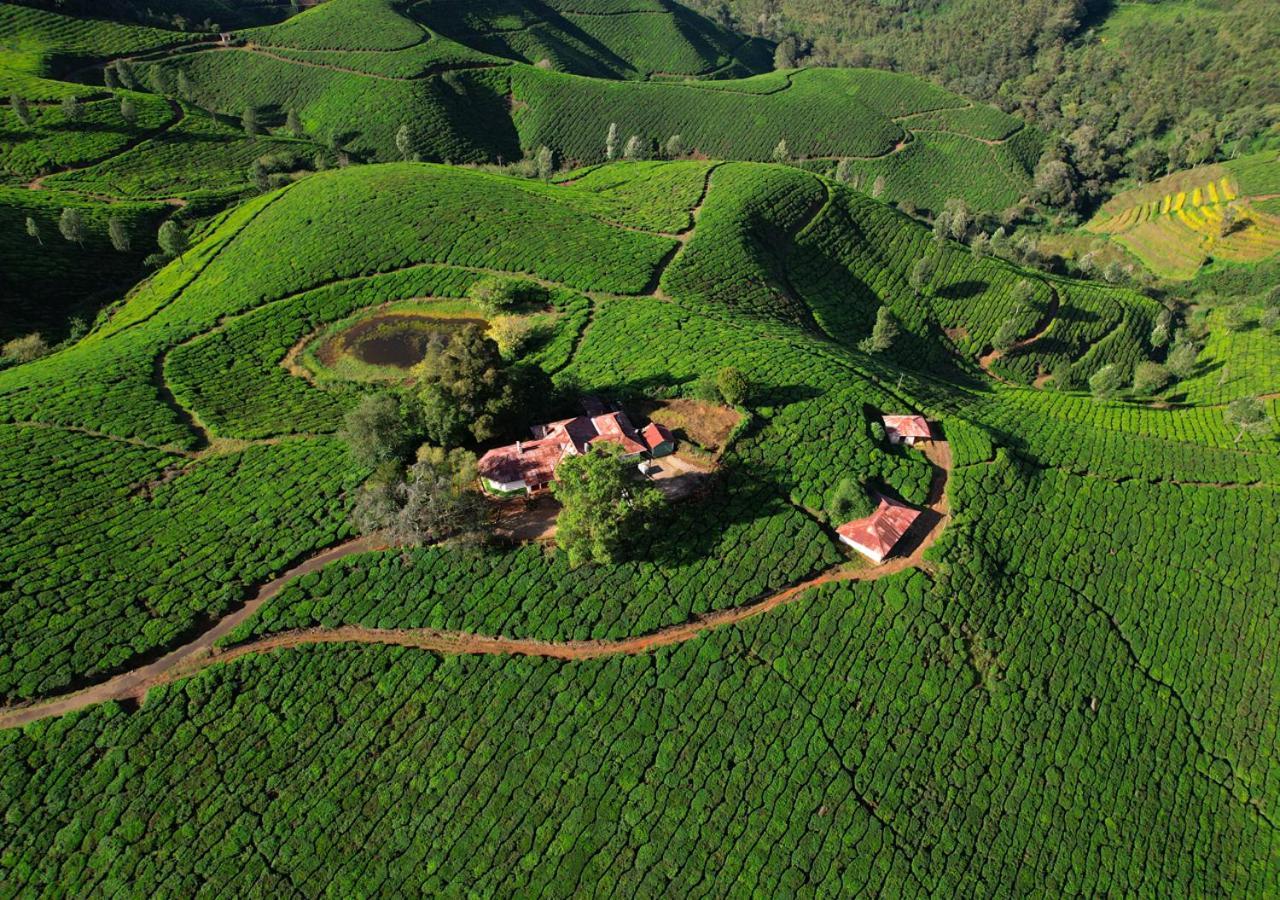 Arivikad Tea Bungalow Munnar By Voye Homes Suryanelli Esterno foto