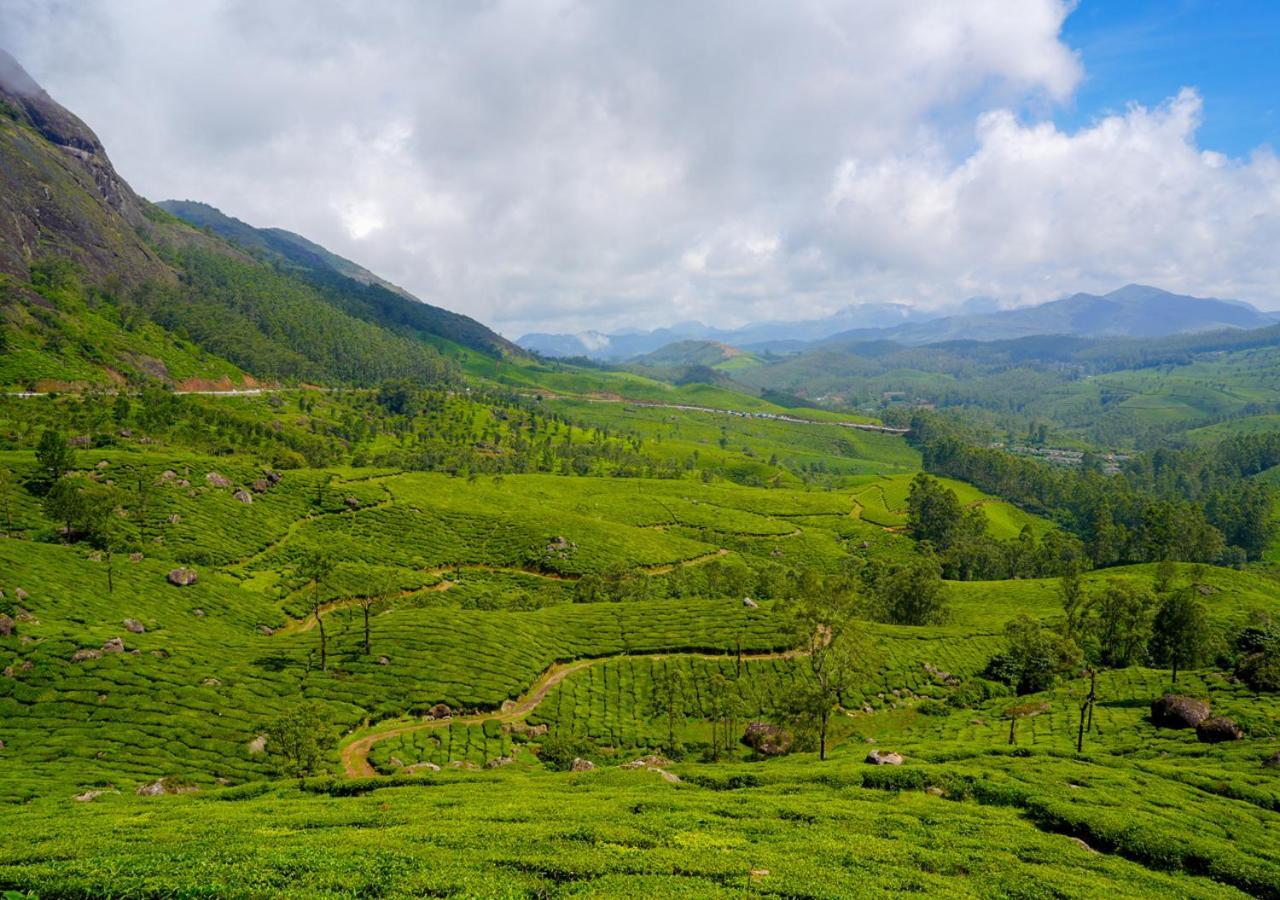 Arivikad Tea Bungalow Munnar By Voye Homes Suryanelli Esterno foto