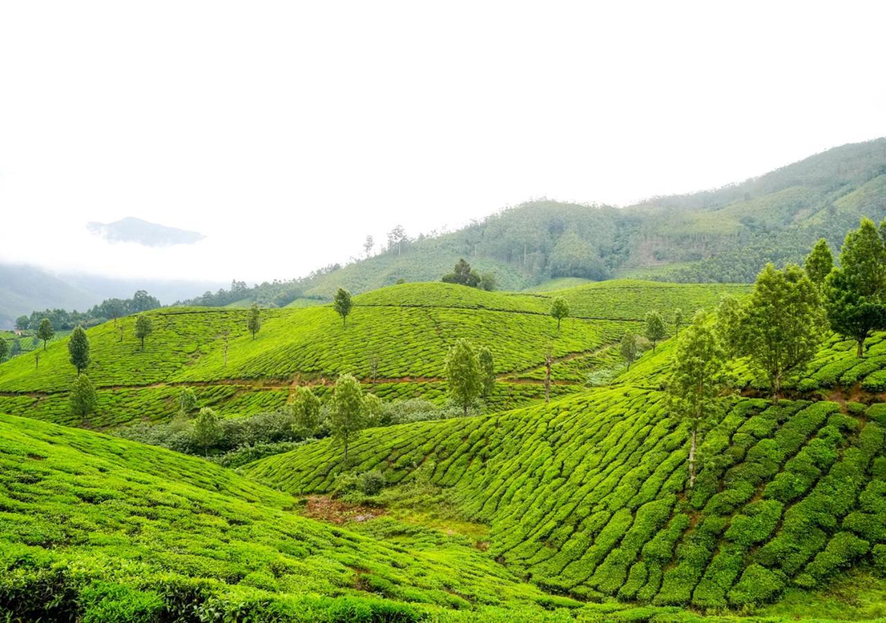 Arivikad Tea Bungalow Munnar By Voye Homes Suryanelli Esterno foto