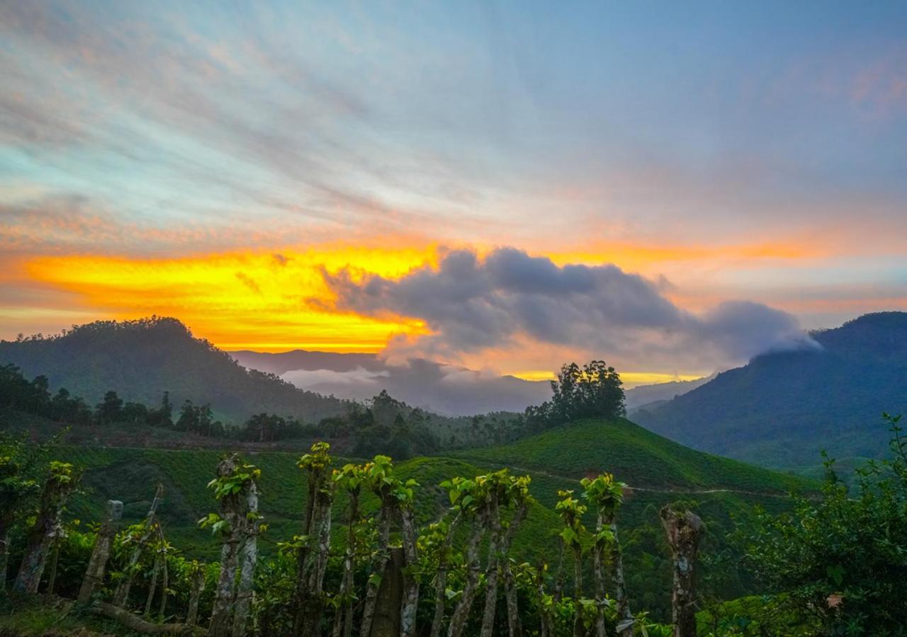 Arivikad Tea Bungalow Munnar By Voye Homes Suryanelli Esterno foto