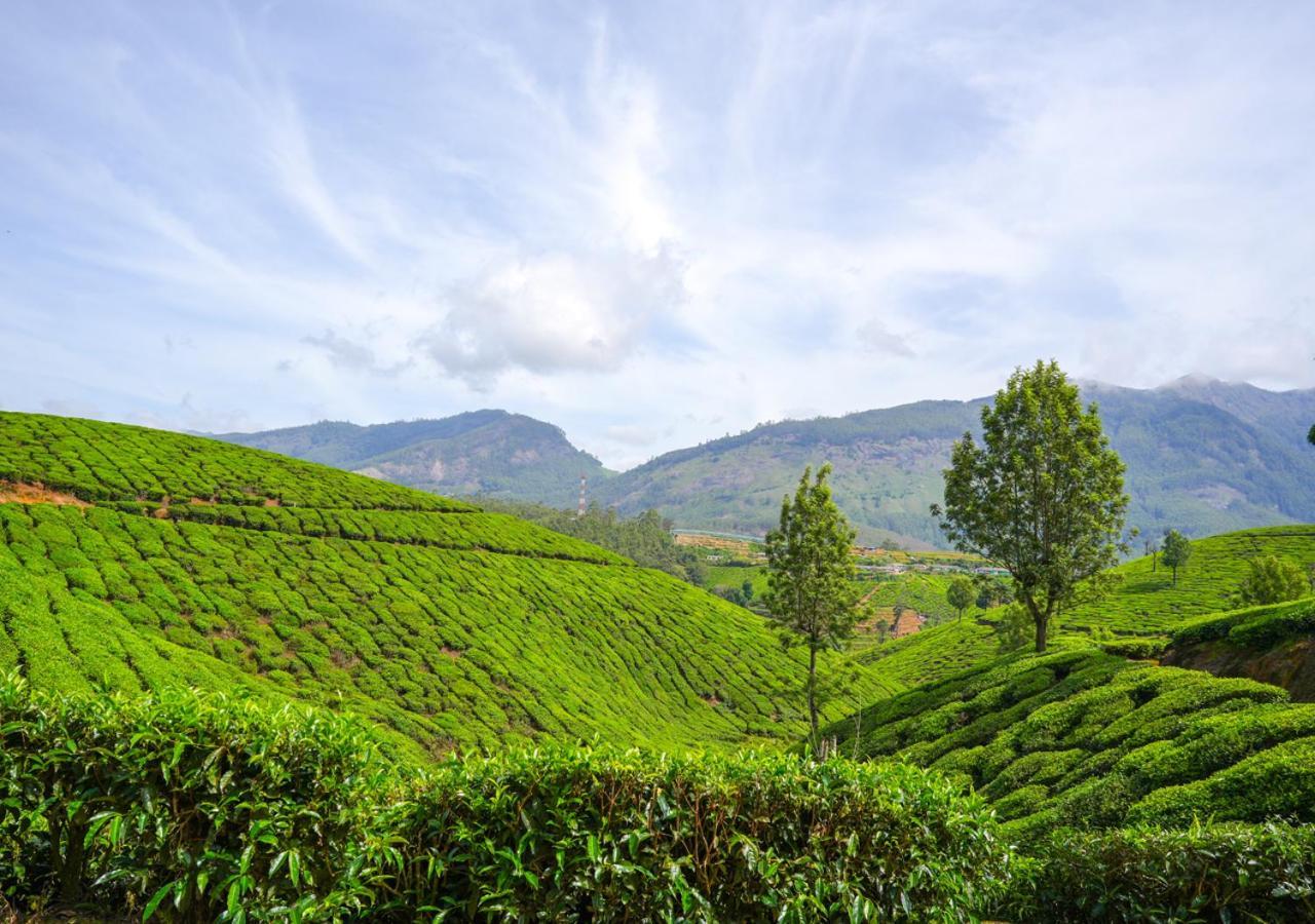 Arivikad Tea Bungalow Munnar By Voye Homes Suryanelli Esterno foto